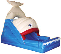 The Whale Slide