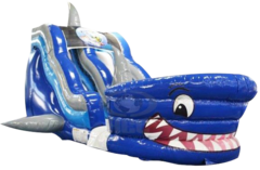 Shark Tank Slide
