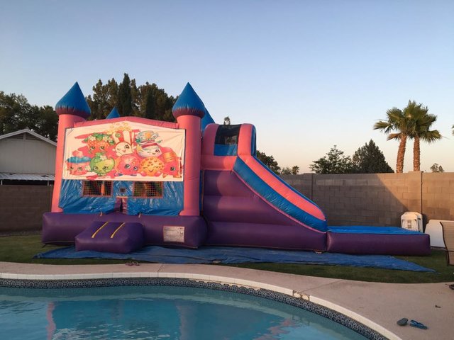 Pink Castle Slide 5 in 1 Combo Pink Castle Slide 5 in 1 Combo