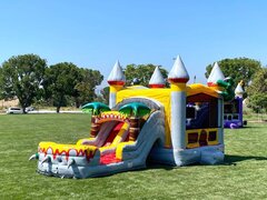 5 in 1 Wet Dry Slide Bounce house Package