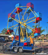 Ferris Wheel - 25 ft