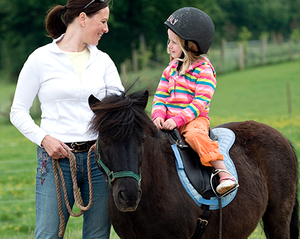 Pony Rides Pony Rides