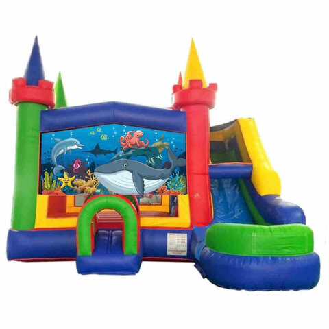 Under Sea inflatable combo with splash pool in Knightdale, NC