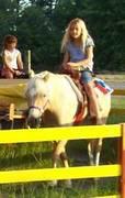 Ponies for parties Ponies for parties
