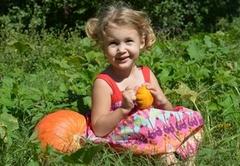 Mini Pumpkin Mini Pumpkin