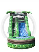 15' Rainforest 15' Rainforest