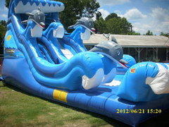 Dolphin Splash (Both Wet and Dry) Dolphin Splash (Both Wet and Dry)