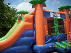 Paradise Combo -24Lx13Wx14H- Paradise Combo -24Lx13Wx14H-