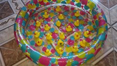 Duck Pond Game Duck Pond Game