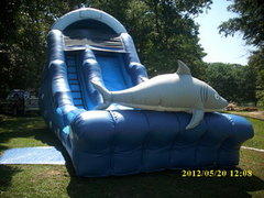 Shark Attack (Both Wet and Dry) Shark Attack (Both Wet and Dry)