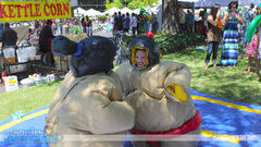 Sumo Wrestling Suits and Mat Sumo Wrestling Suits and Mat