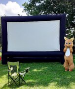 Movie Screens & Audio Equipment Movie Screens & Audio Equipment