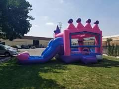 (3) Princess Deluxe Water Combo- POOL (3) Princess Deluxe Water Combo- POOL