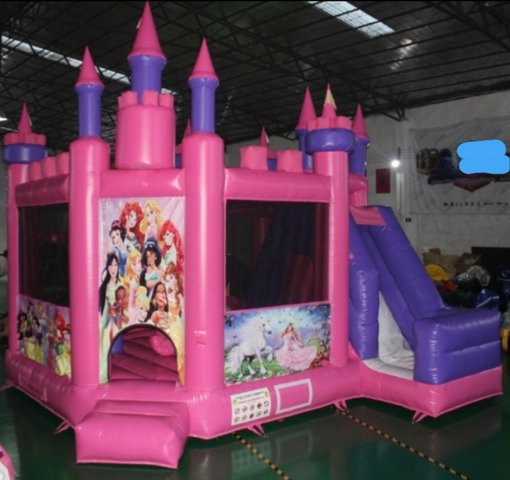 Princess 5 in 1 Combo Princess 5 in 1 Combo