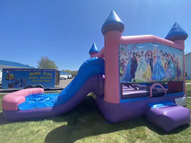 Princess Wet/Dry Combo Princess Wet/Dry Combo