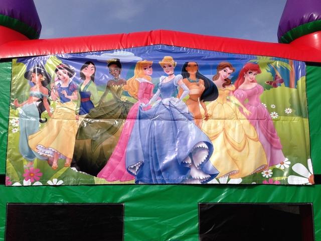 Banner Disney All Princess 