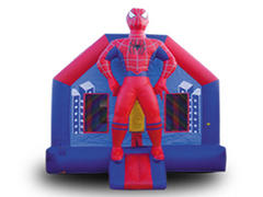Deluxe Spiderman House