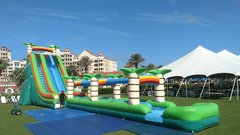(001) 30 Foot Tropical Slide (001) 30 Foot Tropical Slide