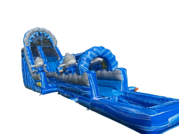 Blue Dolphin Slide w Pool