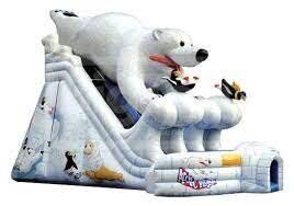 27ft Polar Plunge Slide 27ft Polar Plunge Slide