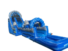 Blue Dolphin Slide