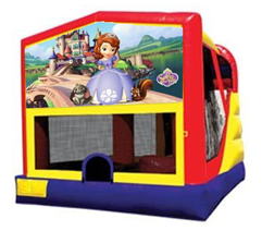 Sofia The First Bounce House Combo 4n1