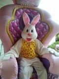 Easter Bunny Costumes Easter Bunny Costumes