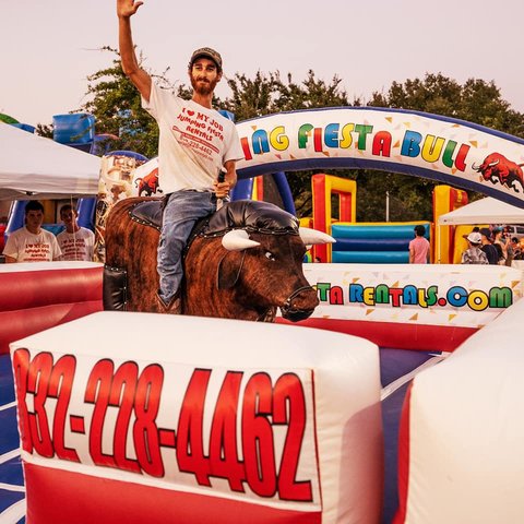 Mechanical Bull Mechanical Bull