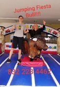 Mechanical Bull Mechanical Bull