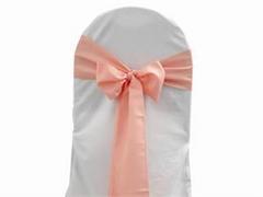 #100 Pink Sashes #100 Pink Sashes