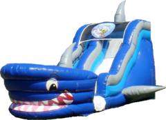 Inflatable Water Slides Inflatable Water Slides
