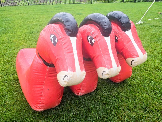 Inflatable horses for rent