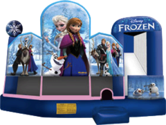 Frozen 5 x 1 Combo
