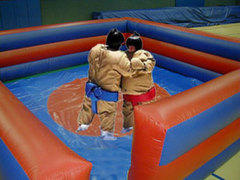 Sumo Wrestling Sumo Wrestling