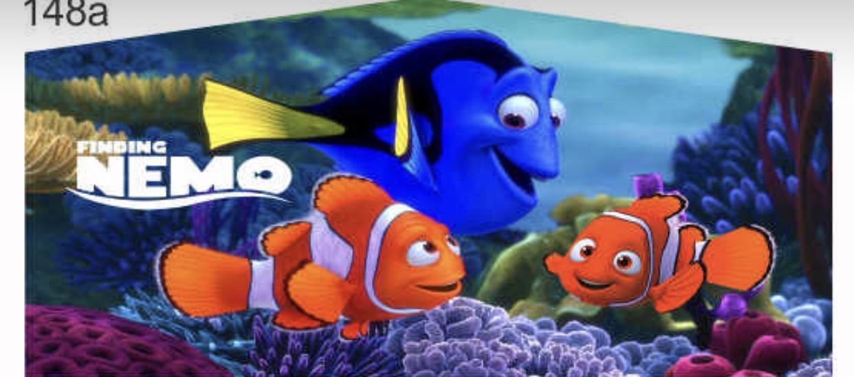 dory bouncer