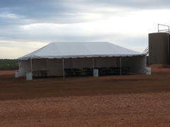 Tents Tents