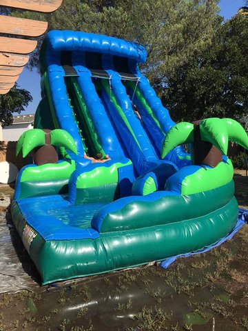 20 Ft Tropical Dual Ln Curvy Water Slide (Item 301) 20 Ft Tropical Dual Ln Curvy Water Slide (Item 301)