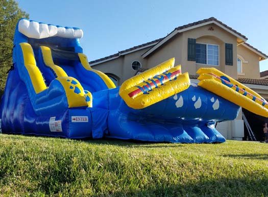 20 Ft Wipe Out Water Slide (Item 344) 20 Ft Wipe Out Water Slide (Item 344)