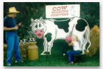 Cow Milking Contest Cow Milking Contest