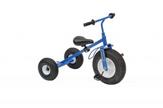 Big Kid Trikes