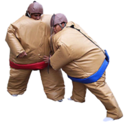 Sumo suits