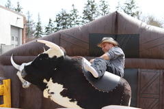 Mechanical Bull Rentals Mechanical Bull Rentals
