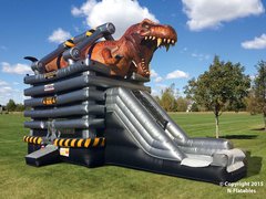 (#25) T-REX Bouncer with Slide #CU31