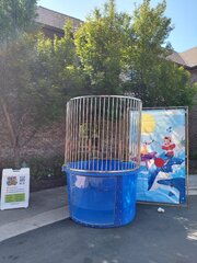 Dunk Tank 'Swim with the Dolphins'
