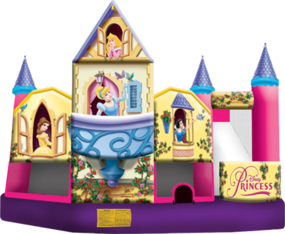 Disney  Princess 3D Combo