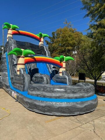 20 FT Silver Palm Water Slide