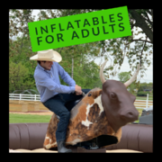 Inflatables For Adults