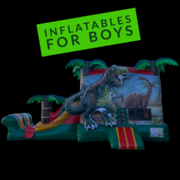 Inflatables For Boys