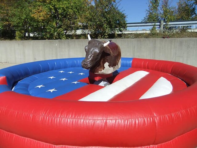 pool mechanical bull