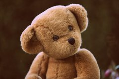 Bear Stuffing Bear Stuffing
